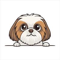 Home of Shih Tzus